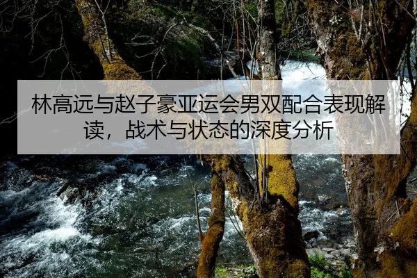 林高远与赵子豪亚运会男双配合表现解读，战术与状态的深度分析