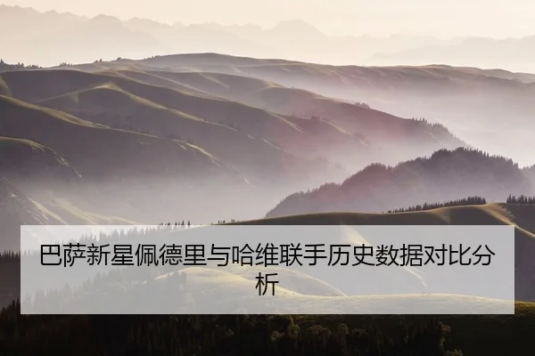 ba-sa-xin-xing-pei-de-li-yu-ha-wei-lian-shou-li-shi-shu-ju-dui-bi-fen-xi-2-879.jpg